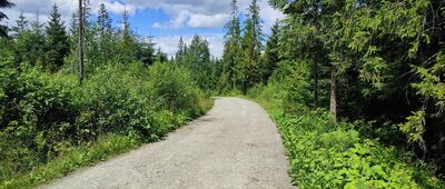 Zazadnia ↔ Małe Ciche