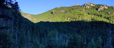 Polana Strążyska, odejście szlaku żółtego ↔ Czerwona Przełęcz