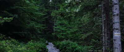 Polana Strążyska, odejście szlaku żółtego