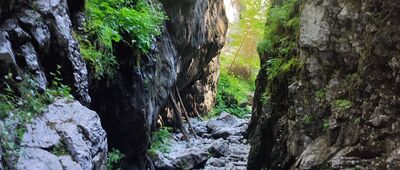 Wąwóz Kraków, odejście szlaku ↔ Wąwóz Kraków