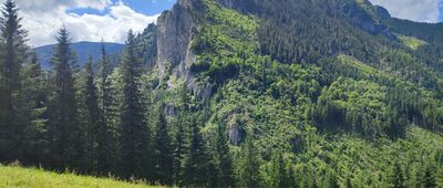 Wąwóz Kraków ↔ Polana Pisana [Kominiarski Wierch]