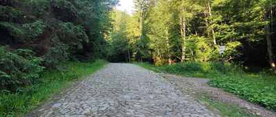 Skrzyżowanie przy Kalatówkach