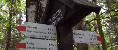 Podlesie, granica parku narodowego