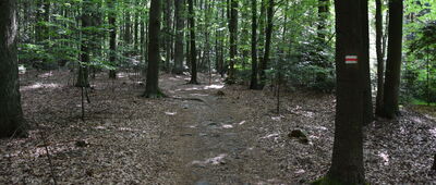 Podlesie, granica parku narodowego ↔ Huta Szklana, granica parku narodowego
