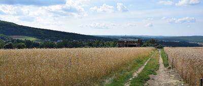 Huta Szklana, granica parku narodowego