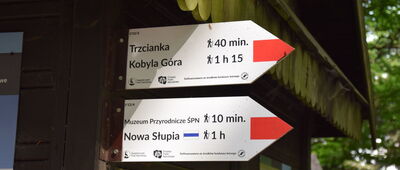 Łysa Góra ↔ Łysa Góra, pętla