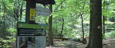 Święty Krzyż, pogański wał kulturowy