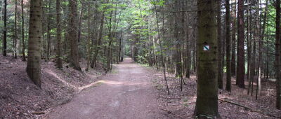 Droga Królewska, rozejście szlaków ↔ Droga Niemiecka