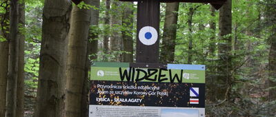 Skała Agaty
