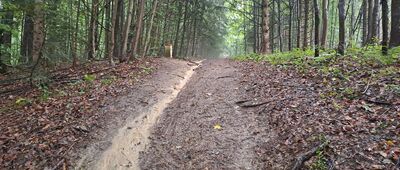 Podoszust ↔ Úšust