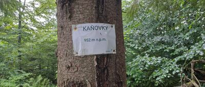 Kaňovky