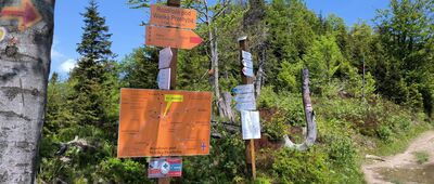 Rozdroże Pod Wielką Przehybą