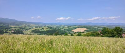 Barcice, most ↔ Głęboki Jar