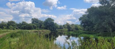 Kryłów, Park Dworski ↔ Gołębie, rozejście szlaków