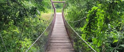 Kryłów, Park Dworski