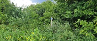 Czumów, pałac ↔ Błonia Nadbużańskie