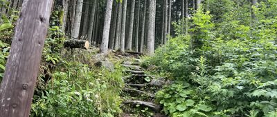 Droga Oswalda Balzera, skrzyżowanie szlaków