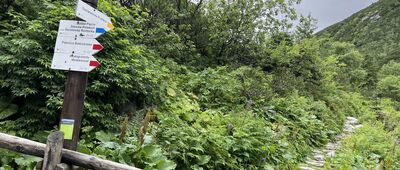 Odejście na Szpiglasową Przełęcz