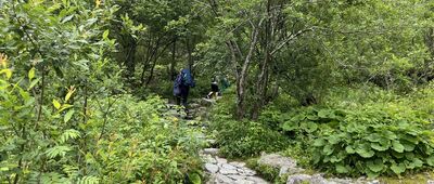Morskie Oko, pod Czarnym Stawem