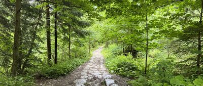 Wodogrzmoty Mickiewicza, odejście do Roztoki