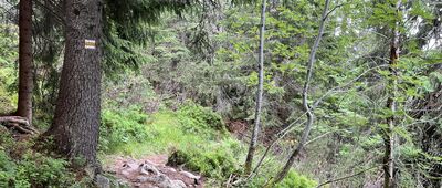 Popradské pleso, rázcestie ↔ Popradská polana