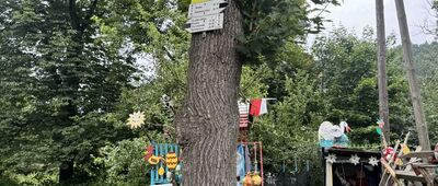 Szczytna, stacja kolejowa