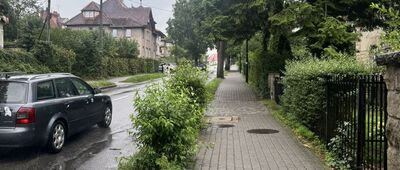 Polanica-Zdrój, ul. Warszawska ↔ Polanica-Zdrój, ul. Kłodzka