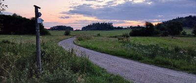 Cisowa Skała ↔ Nowa Biała, skrzyżowanie [Kotlina Orawsko-Nowotarska - szlak z Nowej Białej do Grzebieniwej i Cisowej Skałki]