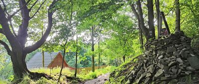 Pod Żarem, odejście szlaku czarnego [Pod Żarem (czerwiec 2025)]