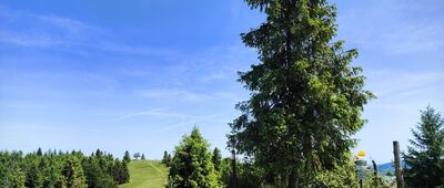 Potrójna [Potrójna (czerwiec 2025)]