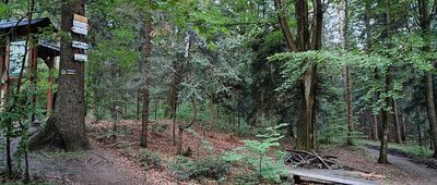 Chełm [Chełm (czerwiec 2025)]