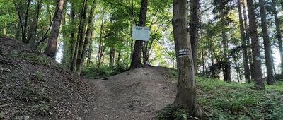 Ruiny zamku Skrzyńskich [2025-06-20 Pod Żarem]