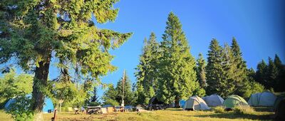 Baza namiotowa Gorc [Baza namiotowa Gorc (lipiec 2025)]