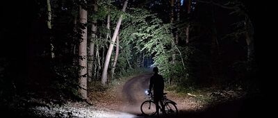 Północna Zatoka [Północna Zatoka (lipiec 2025)]