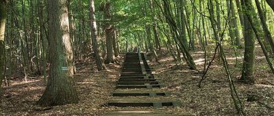 Rowokół, rozejście [Rowokół, schody (lipiec 2025)]