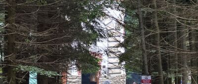 Zlatý Chlum, rozhledna ↔ Zlatý Chlum [Z drogi]