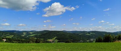 Przyrodnicza ścieżka leśna ↔ Sałasz Zachodni