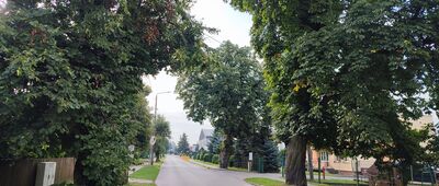 Dzierzkowice-Rynek ↔ Chruślańska Droga [Dzierzkowice - Rynek]