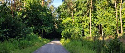 Wolski Bór ↔ Chruślańska Droga ["Chruślańska Droga"]