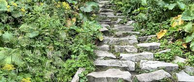 Schronisko PTTK Markowe Szczawiny ↔ Przełęcz Brona