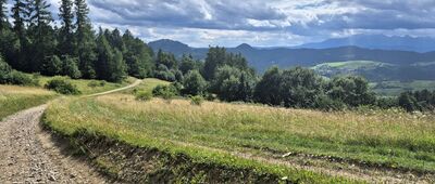 Średni Groń ↔ Krościenko, rondo [Pieniny z polany Klocówki]