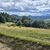 Pieniny z polany Klocówki