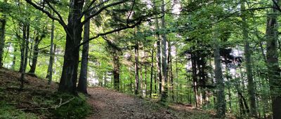 Bystra Krakowska, skrzyżowanie szlaków