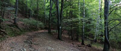 Bystra Krakowska, skrzyżowanie szlaków