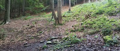 Bystra Krakowska, skrzyżowanie szlaków