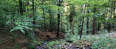 Bystra Krakowska, skrzyżowanie szlaków