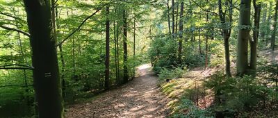 Bystra Krakowska, skrzyżowanie szlaków ↔ Stracona Matka