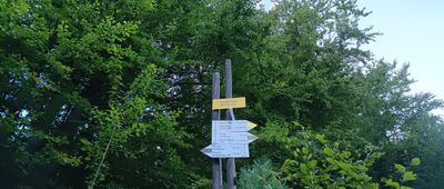 Skrzyżowanie szlaków żółty - czarny