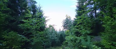 Skrzyżowanie szlaków żółty - czarny