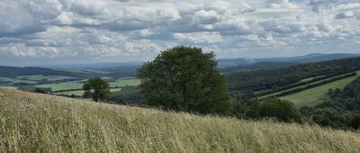 Tokarnia ↔ Przybyszów